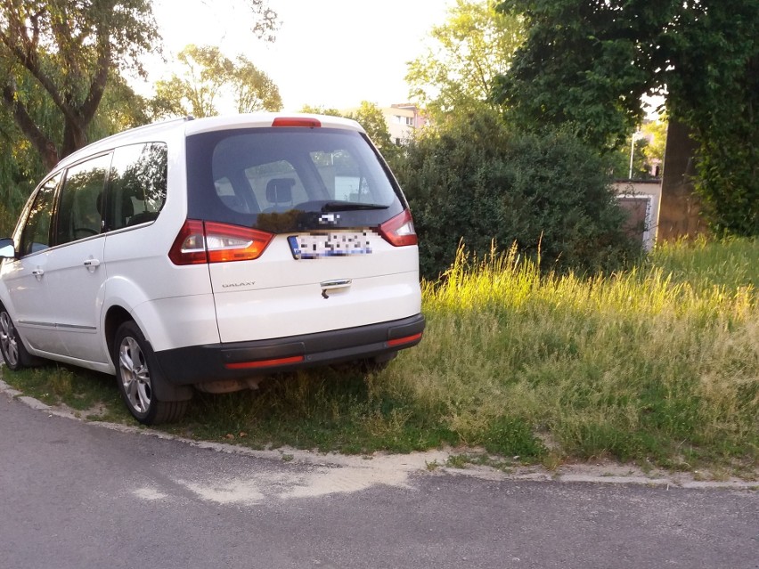 "A ja sobie nic nie robię. Kocham stawać na zieleni przy ul....