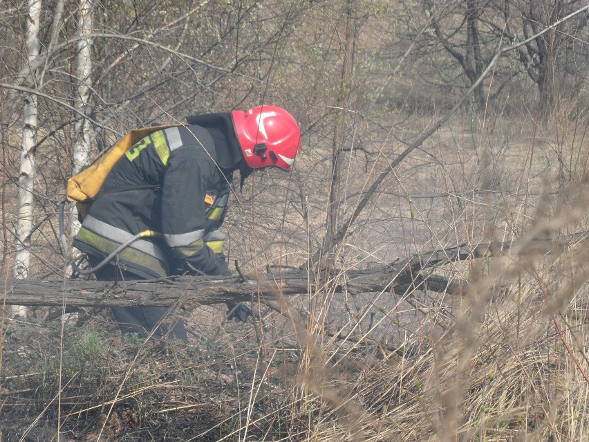 Pożar łąki w Milowicach