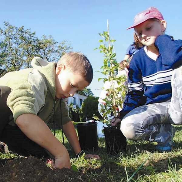Szymon i Maciek z IV klasy szkoły w Rozmierce obiecują regularnie podlewać rośliny.