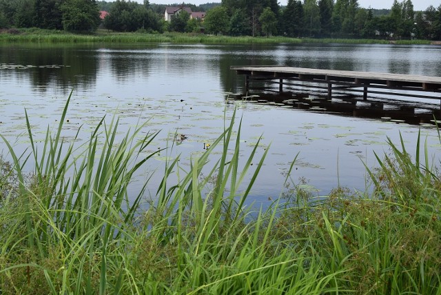 Zalew przy ulicy Miłej w Stąporkowie