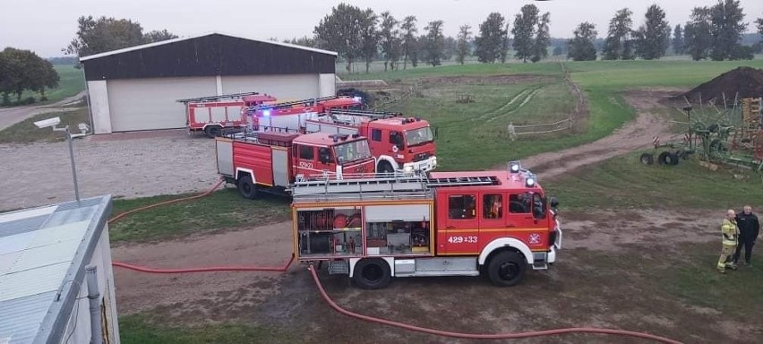 Pożar gorzelni koło Czaplinka