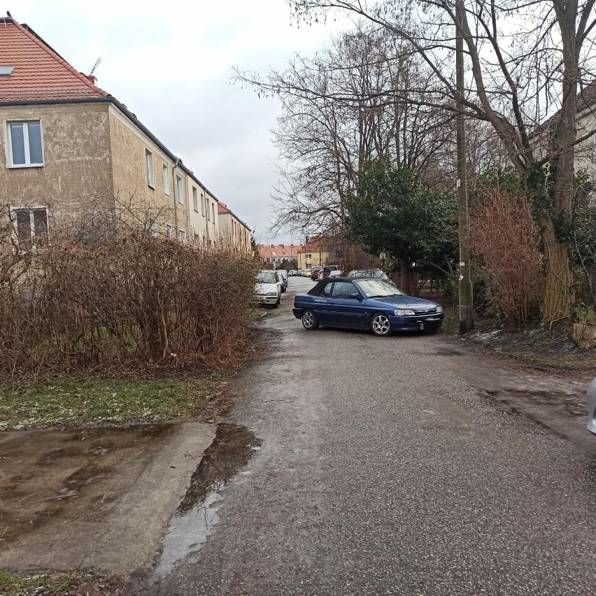 Mistrzowie Parkowania we Wrocławiu w styczniu 2024 roku