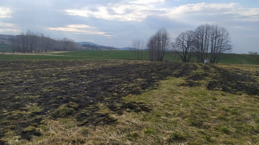 Już przeszło 300 razy strażacy na Podkarpaciu wyjeżdżali w marcu do pożarów traw na łąkach, polach, nieużytkach! [WIDEO]