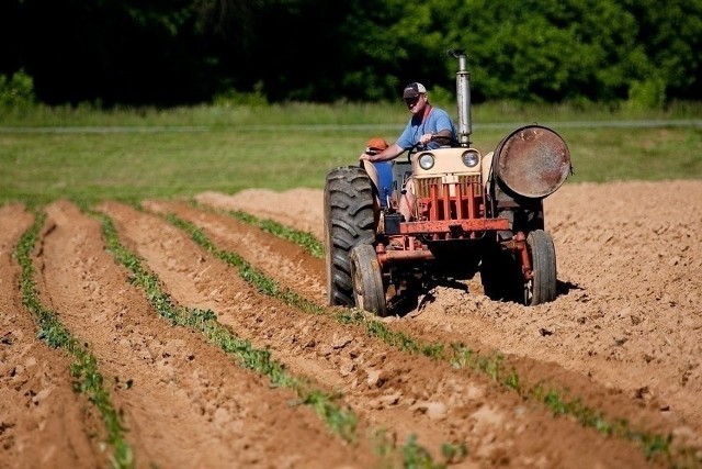 KRUS zaprasza rolników do udziału w IV  Ogólnopolskim Konkursie Testowym z Zakresu Bezpiecznej Pracy w Gospodarstwie Rolnym „Bezpieczny Rolnik, Bezpieczna Wieś”.