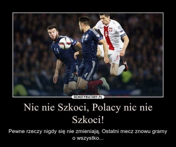 Memy z Robertem Lewandowskim po meczu Szkocja Polska