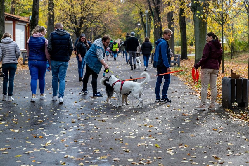Spacer psów i ich opiekunów. "Parada Adopciaków" w Parku...