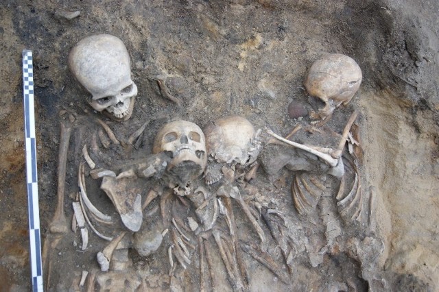 Archeolodzy pracujący w Byczynie natrafili na ślad makabrycznego pochówku sprzed stuleci. Łącznie znaleźli już szczątki 60 osób, a będzie ich kilka razy więcej.