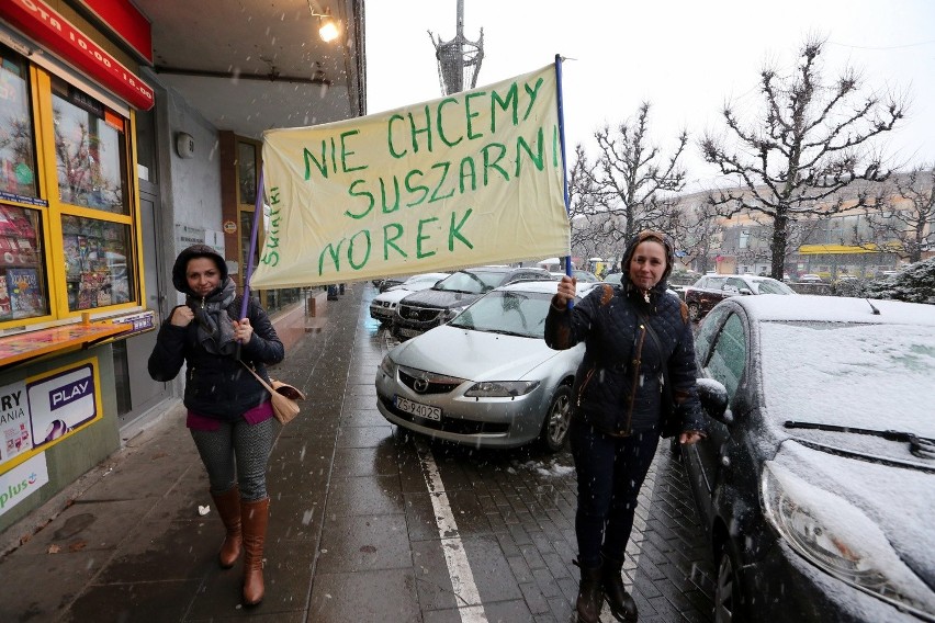 Dzień Bez Futra w Szczecinie [zdjęcia]