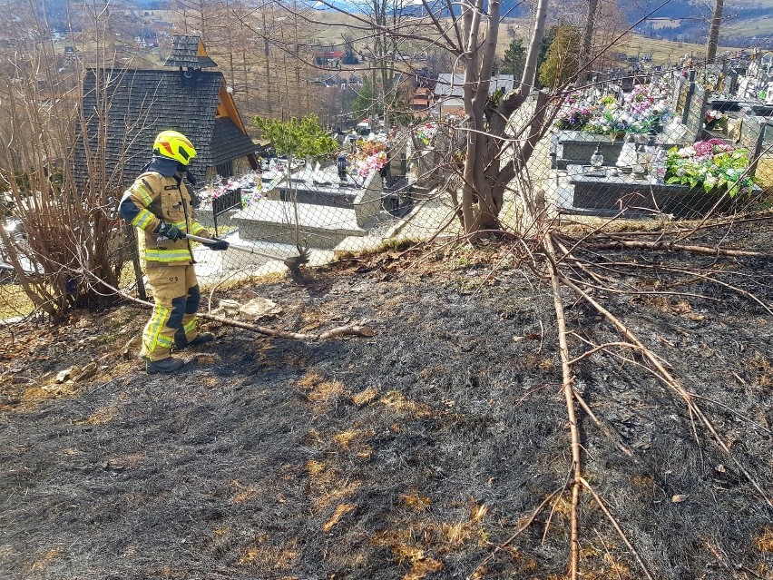 Pożar trawy na ul. Piszczory w Zakopanem zagrażał budynkowi...