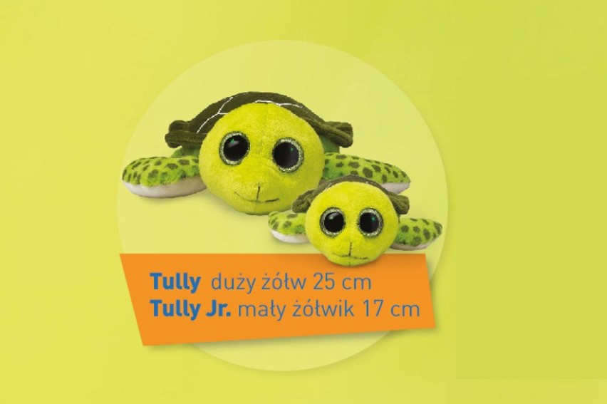 Żółwie - Tully i Tully Junior