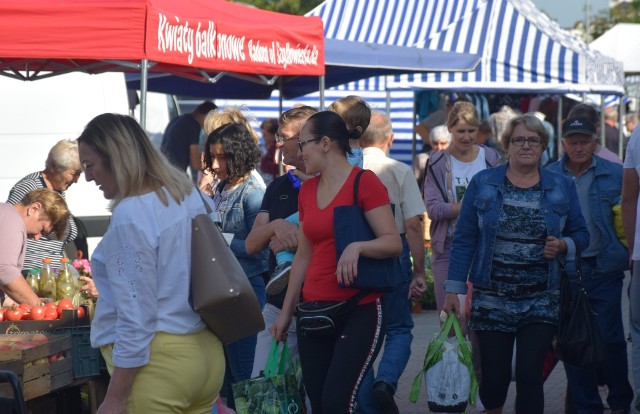 Dużo handlujących, sporo kupujących zjawiło się na targowisku miejskim 11 września w Szydłowcu. Pogoda bardzo dopisała, bo było ciepło i słonecznie. Co najczęściej wybierali klienci?ZOBACZ ZDJĘCIA>>>