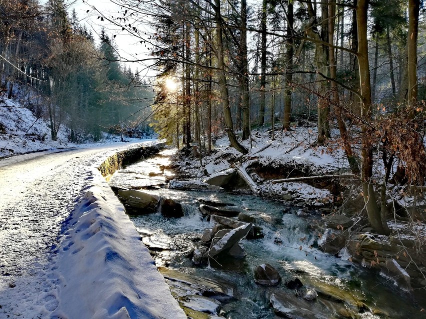 Zima wróciła w Beskidy. Trudne warunki na szlakach. Szaleje...