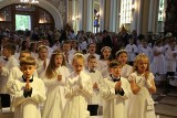Piękna i uroczysta Pierwsza Komunia Święta w katedrze w Radomiu. Dzieci przyjęły najważniejszy sakrament. Zobacz nowe zdjęcia