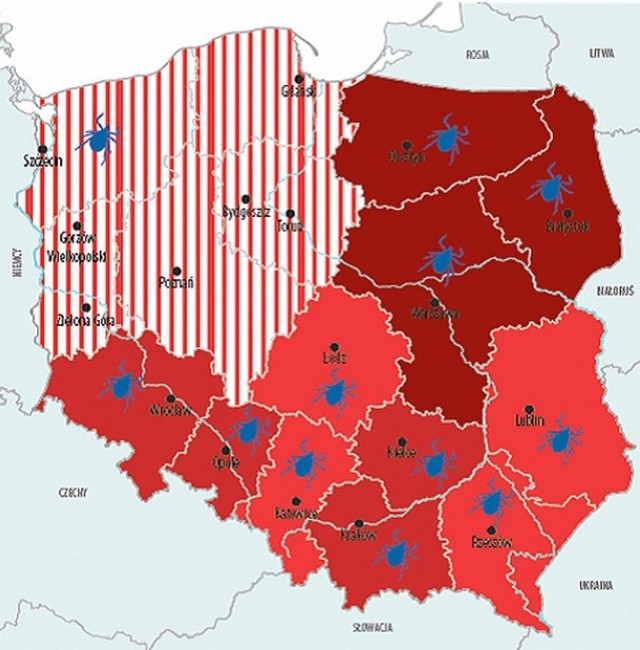 KLESZCZE, JAK SIĘ USTRZEC PRZED KLESZCZAMI, KLESZCZE ATAKUJĄ, GDZIE NAJWIĘCEJ KLESZCZY, KLESZCZE MAPKA