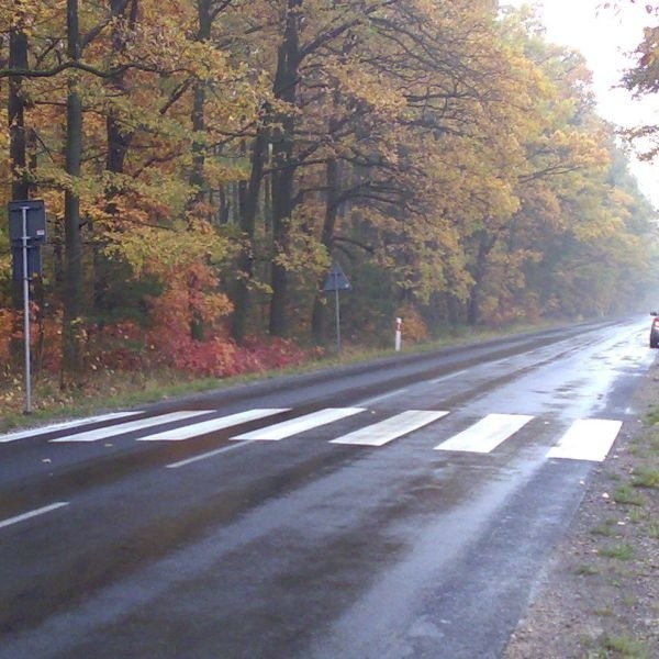 To dziwaczne przejście dla pieszych koło Oksy przykuło uwagę naszego czytelnika.