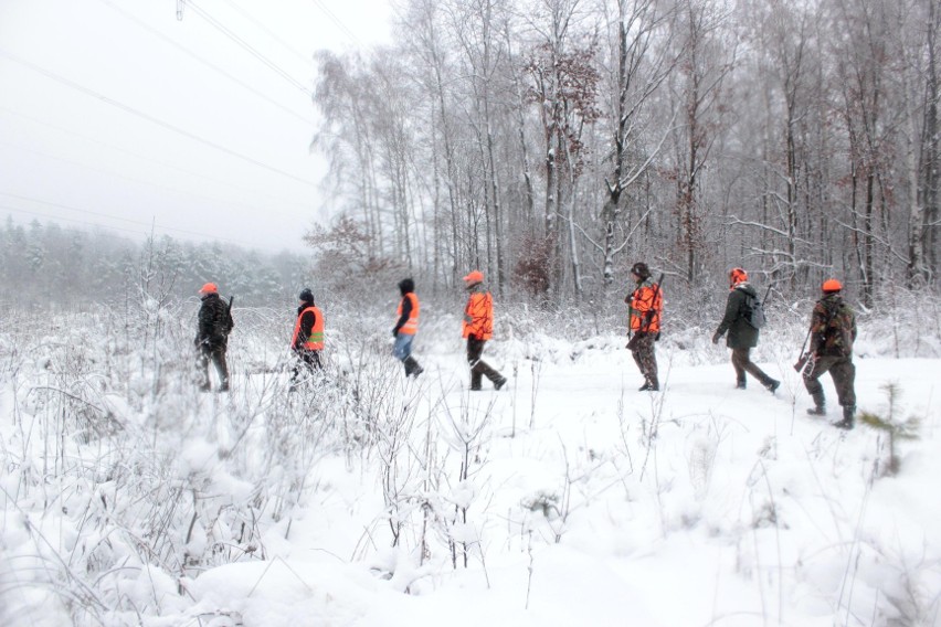 Aktywiści zablokowali polowanie na granicy Bytomia i...