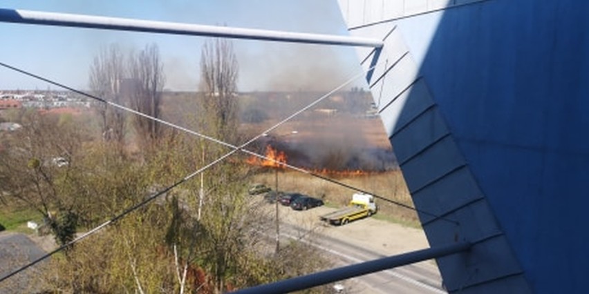 Pożar na Psim Polu, przy skrzyżowaniu ulicy Kiełczowskiej i...