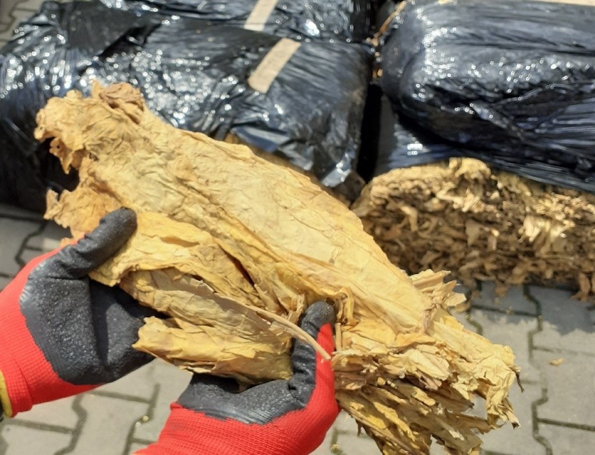 Funkcjonariusze KAS z Przemyśla wykryli duży przemyt suszu tytoniowego. Był ukryty w zatrzymanej na A4 ciężarówce wiozącej ziemniaki
