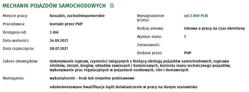 Nowe oferty pracy w Koszalinie. Zobacz, kogo szukają pracodawcy. Sprawdź zarobki, warunki, szczegóły