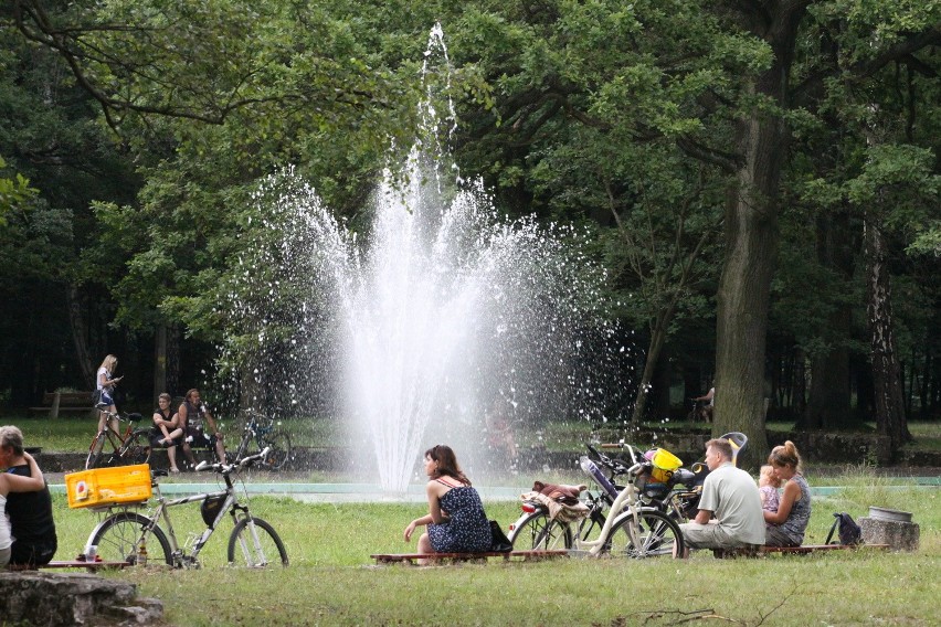 Tak dziś wygląda park Zielona w Dąbrowie Górniczej