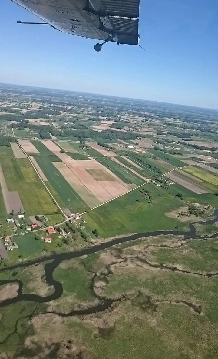 Ze wstępnych informacji wynika, że przechodzień wszedł do...