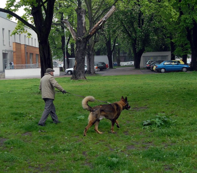 &#8211; Przed wybudowaniem nowej siedziby teatru, od strony ul. Niedziałkowskiego istniał plac zabaw dla dzieci,który zlikwidowano &#8211; pisze nasz Czytelnik.