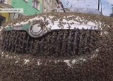 Rój pszczół obsiadł samochód w Szczecinku! [video]