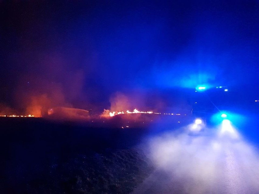 Zaczęło się! 13 pożarów traw w czasie weekendu w powiecie ostrowieckim! W poniedziałek kolejny alarm [ZDJĘCIA]