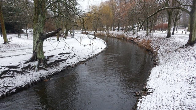 Koszaliński park w zimowej scenerii