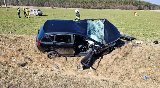 Do tragedii doszło na trasie nr 409 pomiędzy Strzelcami Opolskimi a Gogolinem.