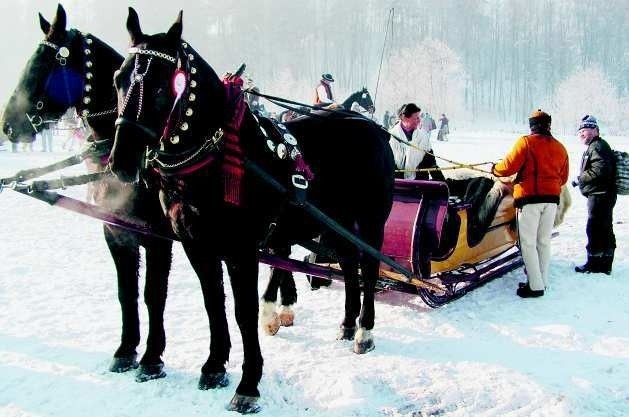 Tradycyjny kulig. Niby nic wielkiego, a jednak zabawa...