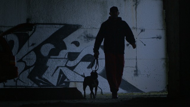 Walki psów wciąż są organizowane w Polsce. Miały one miejsce m.in. w okolicach Gniezna, Nowej Hucie czy w Opolu.