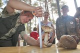 XI Otwarte Mistrzostwa w zbieraniu grzybów w Korzybiu