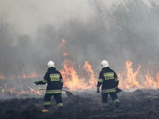 Pożar traw przy wiadukcie w Bydgoszczy