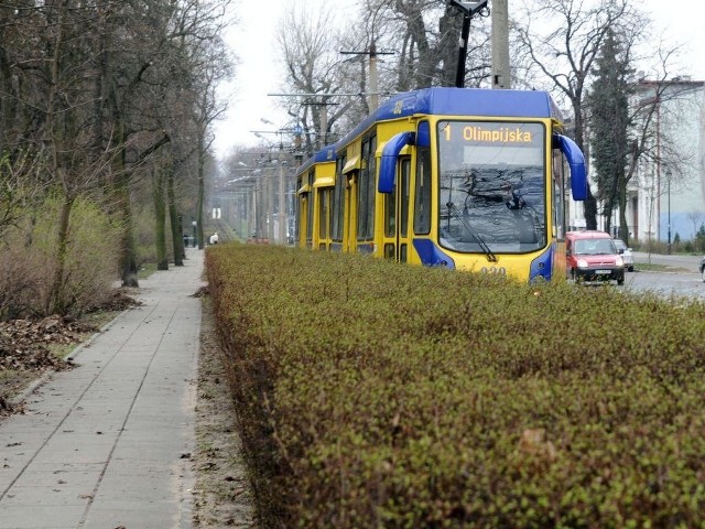 "Jedynka&#8221; jeździ obok parku - tam liści jest najwięcej, niebezpieczeństwo rośnie.