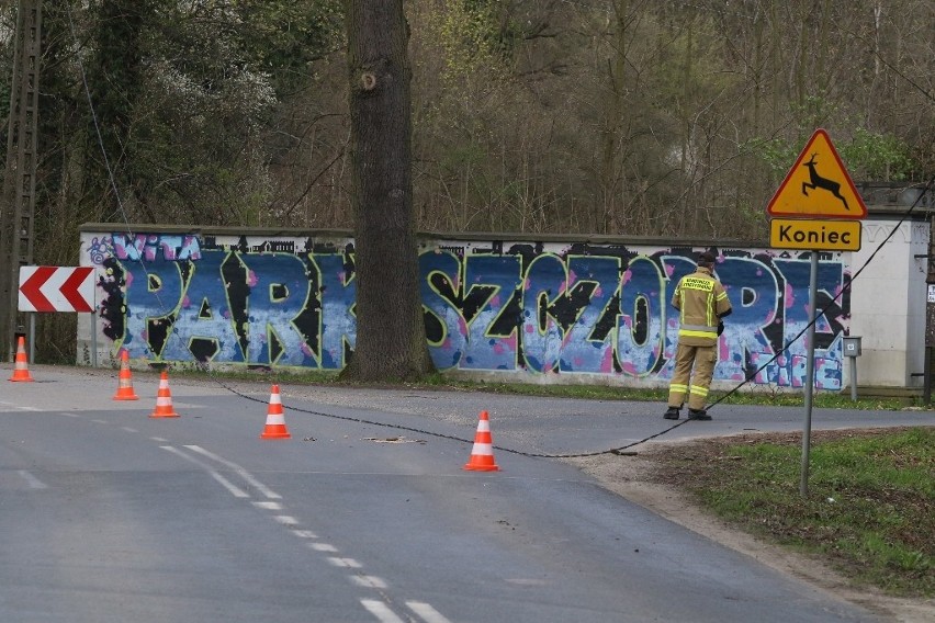 Interweniują strażacy, w miejscu zdarzenia ruch odbywa się...