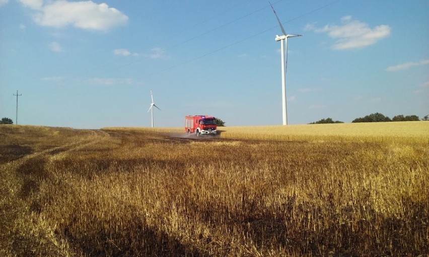 W Pieńkowie spłonęło ok. 15 hektarów zboża [ZDJĘCIA]...