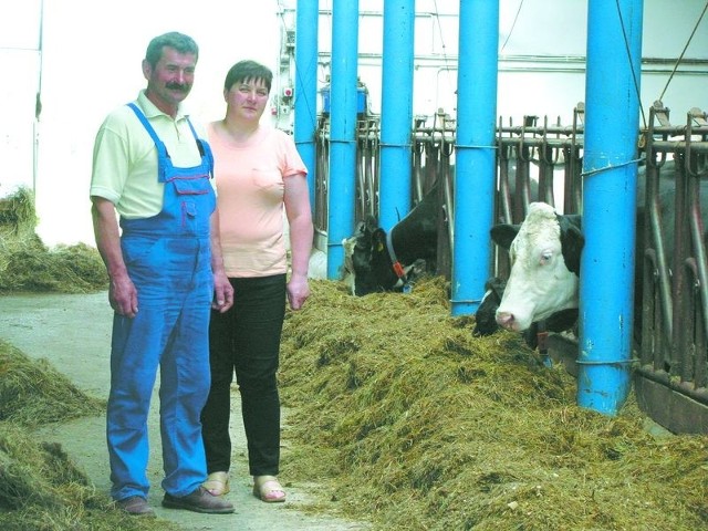 Coraz większy skup mleka. Grożą nam kary!Produkcję mleka zwiększyli również Jolanta i Jan Monachowie z Kobylanki. Im jednak udało się wydzierżawić dodatkową kwotę i nie muszą się martwić tym, że trzeba będzie zapłacić karę za nadprodukcję.