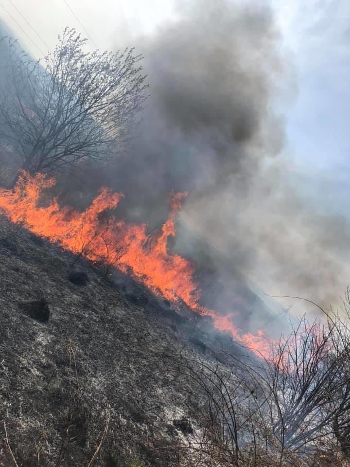 Pożar traw w gminie stryszów