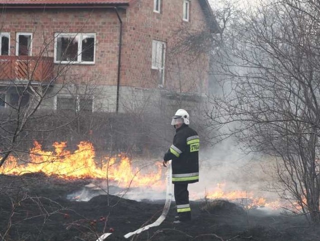 Ulica Biesak w Kielcach, ogień wdarł się na podwórka i zagrażał domom.