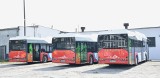 Trzy elektryczne autobusy już jeżdżą ulicami Malborka. Kolejne trzy dotrą pod koniec lipca