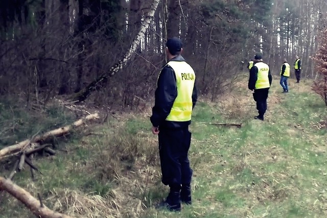 Krośnieńscy policjanci odnaleźli 34-latka, którego zaginięcie zgłosiła jego rodzina. Mieszkaniec Gronowa opuścił miejsce zamieszkania i nie było z nim żadnego kontaktu. W akcję zaangażowanych było wielu policjantów, strażaków i inne służby.We wtorkową noc (28 marca) krośnieńscy policjanci przyjęli zgłoszenie o zaginięciu 34-letniego mieszkańca wsi Gronów (gm. Dąbie). Zmartwiona rodzina poinformowała mundurowych, że 34-latek nie wrócił do domu i nie ma z nim żadnego kontaktu. W krośnieńskiej komendzie Policji ogłoszono alarm i zorganizowano akcję poszukiwawczą. Wsparcia miejscowym policjantom udzielili mundurowi z Zielonej Góry i Gubina, a także funkcjonariusze Ochotniczej Straży Pożarnej z Dąbia, Szczawna, Ciemnic, strażnicy leśni oraz mieszkańcy. Łącznie w poszukiwania zaangażowanych było ponad 50 funkcjonariuszy. Mundurowi w zorganizowanym kordonie, na czele z psami patrolowo-tropiącymi przeszukiwali tereny Pławia, Gronowa, Łagowa oraz Trzebuli. Do akcji zadysponowany został także śmigłowiec z Komendy Wojewódzkiej Policji w Łodzi, który z powodu niesprzyjających warunków atmosferycznych nie mógł wystartować.Poszukiwania trwały do późnych godzin nocnych i ponownie rozpoczęły się o świcie. Funkcjonariusze drugą część poszukiwań rozpoczęli od przeczesywania przydrożnych rowów i terenów leśnych. Właśnie w jednym z pobliskich lasów krośnieńscy kryminalni odnaleźli 34-letniego mężczyznę, któremu do czasu przyjazdu pogotowia ratunkowego, udzielali niezbędnej pomocy. Następnie 34-latek przewieziony został do szpitala w celu hospitalizacji. Policjanci wyjaśniają dokładne okoliczności jego zaginięcia.Przeczytaj też:  Trwają poszukiwania 49-letniego Zbigniewa Kowalczuka ze SławyZobacz też wideo: Setki osób pod gruzami po trzęsieniu ziemi. Ratownicy się nie poddają. "Liczy się każda minuta, psy ratownicze są niezbędne"