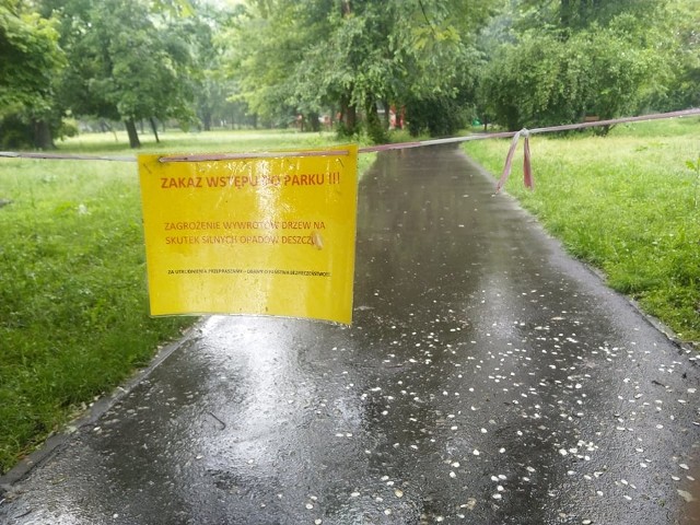 Park na radomskich Plantach został zamknięty do odwołania.