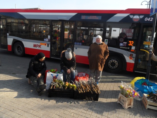 Szukamy wiosny. Nawet śladów wiosny. Udało nam  się na wiosnę na trafić w II alei Najświętszej Maryi Panny w Częstochowie, przed wejściem na ryneczek na Wałach Dwernickiego. Tam już sprzedają bazie. Prosto z drzewa. Kupić także można palmy na Niedzielę Palmową i kwiaty