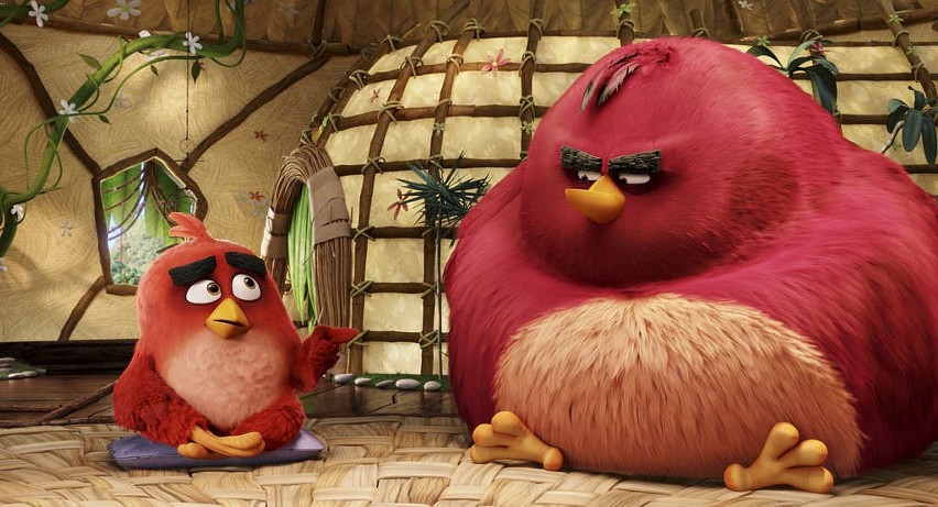 "Angry Birds Film" - HBO, godz. 20:10

media-press.tv