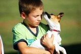 Pies, który leczy czyli dogoterapia dla dzieci
