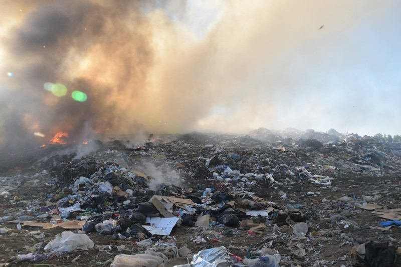 Pożar wysypiska śmieci w Mostkach koło Zduńskiej Woli