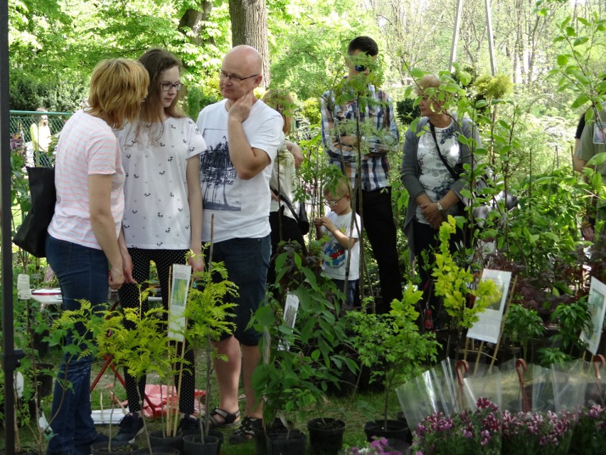 Wystawcy przywieźli na sandomierski kiermasz ogrodniczy sadzonki, drzewka, miody i nawozy.