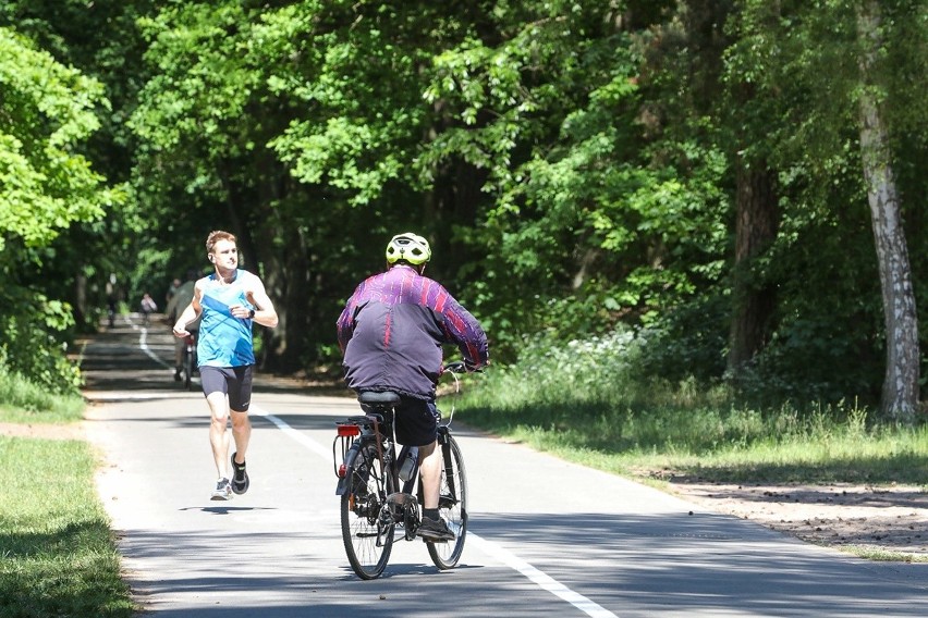 W czasie pandemii wybieramy rower? Trwa jesienne liczenie rowerzystów w Szczecinie