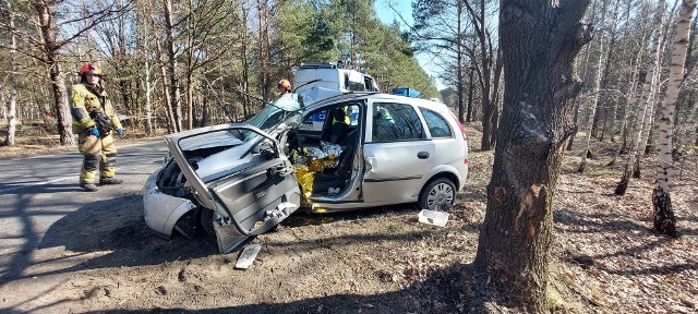 W czwartek (10 marca) samochód osobowy uderzył w drzewo, do zdarzenia doszło na ul. Nowotoruńska/ Plątnowska w Bydgoszczy